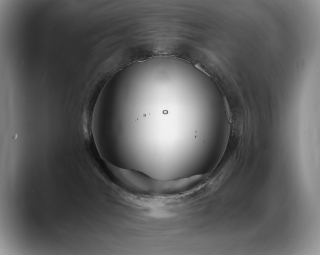 X0000088860044200706081200
