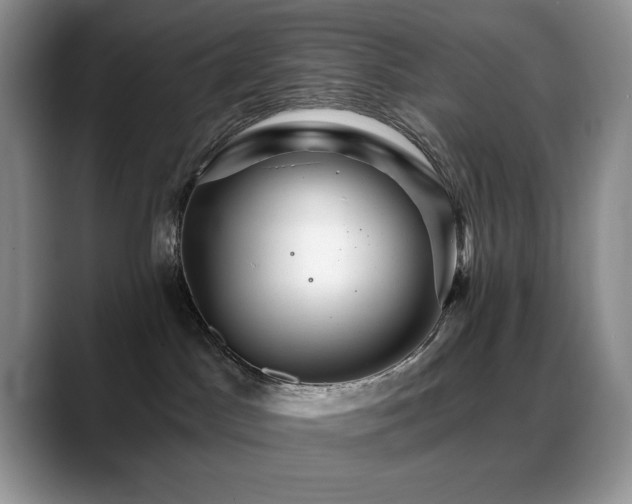 X0000088860045200706081200
