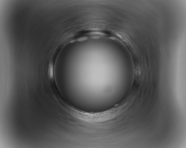 X0000088860046200706081200
