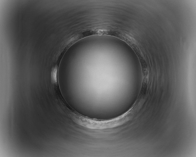 X0000088860047200706081200
