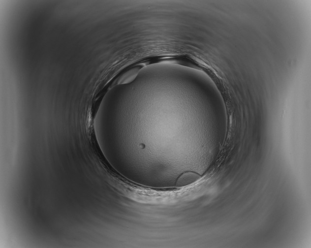 X0000088860048200706081200