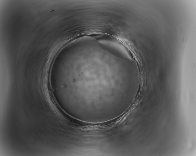 X0000088860049200706081200