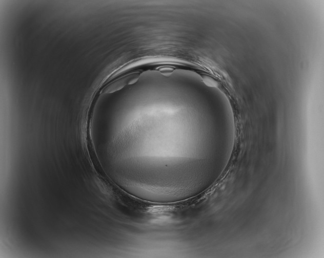 X0000088860051200706081200