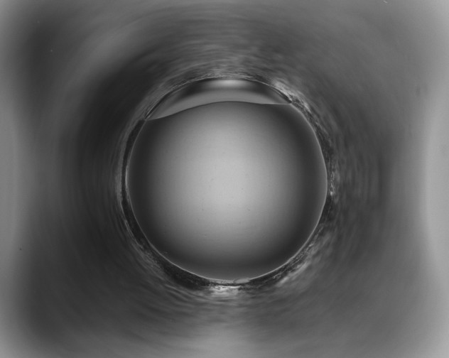 X0000088860052200706081200