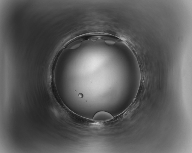 X0000088860053200706081200