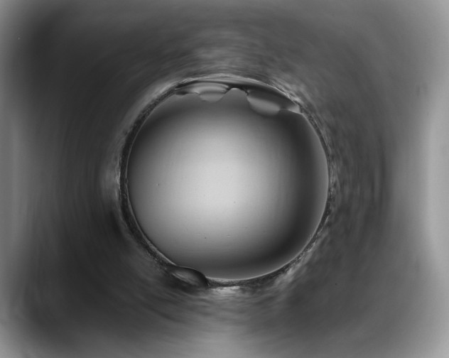 X0000088860054200706081200