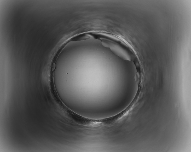 X0000088860055200706081200