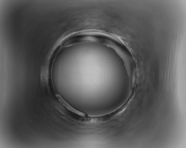 X0000088860056200706081200