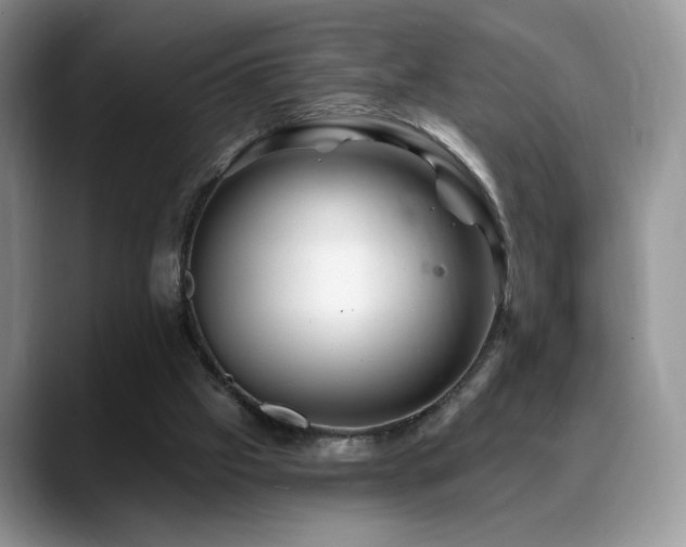 X0000088860057200706081200