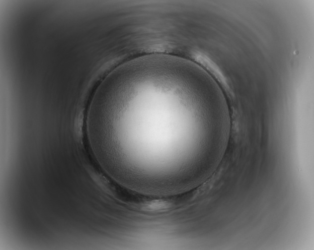 X0000088860058200706081200