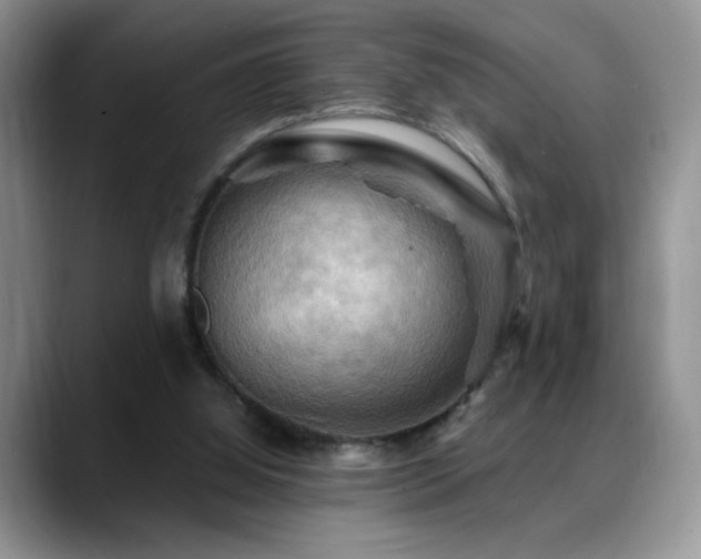 X0000088860060200706081200