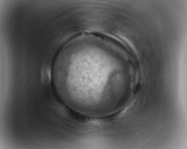 X0000088860062200706081200