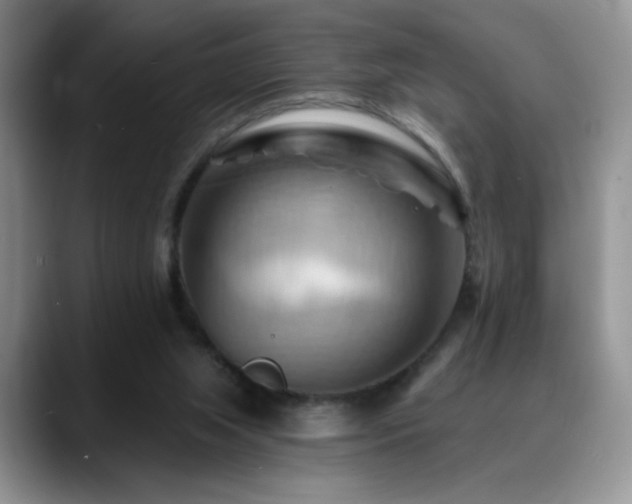 X0000088860063200706081200