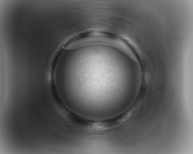 X0000088860064200706081200