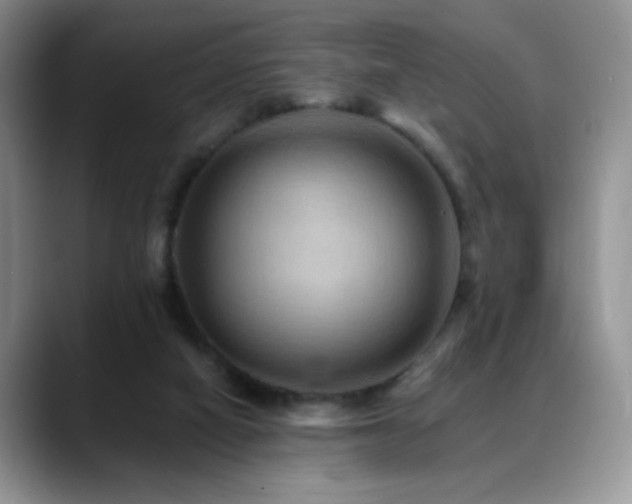 X0000088860066200706081200