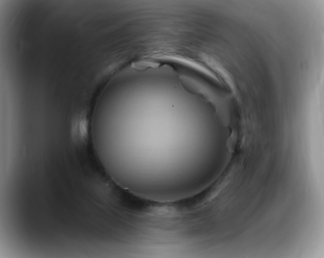 X0000088860067200706081200