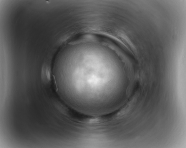 X0000088860068200706081200