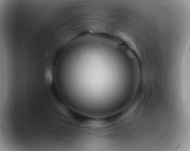 X0000088860069200706081200