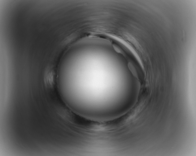 X0000088860071200706081200
