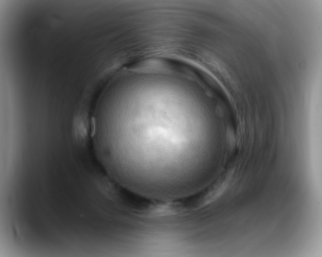 X0000088860072200706081200