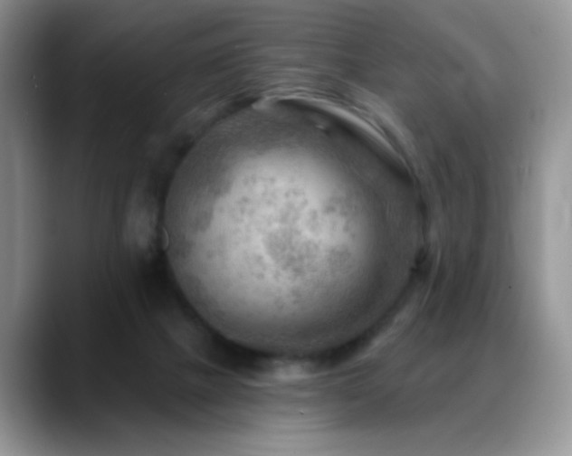 X0000088860073200706081200