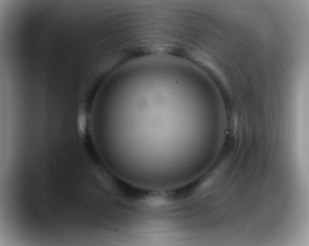 X0000088860076200706081200