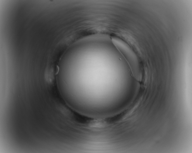 X0000088860077200706081200