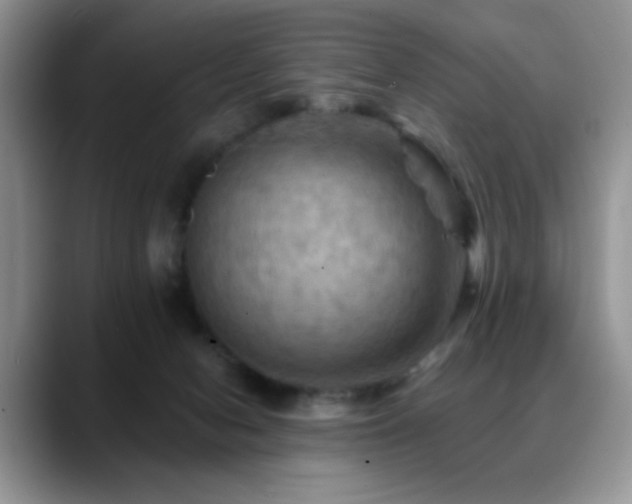 X0000088860078200706081200