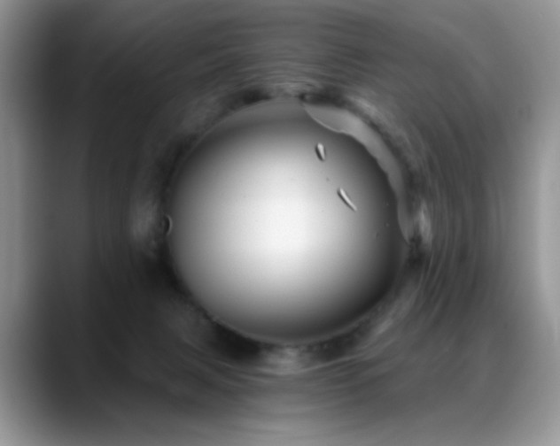 X0000088860079200706081200