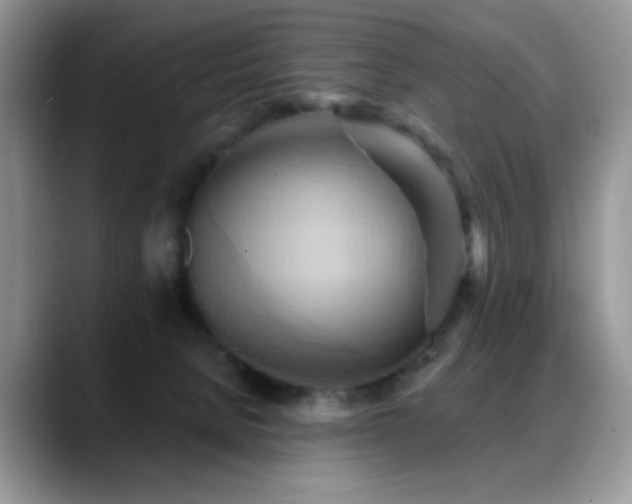X0000088860080200706081200