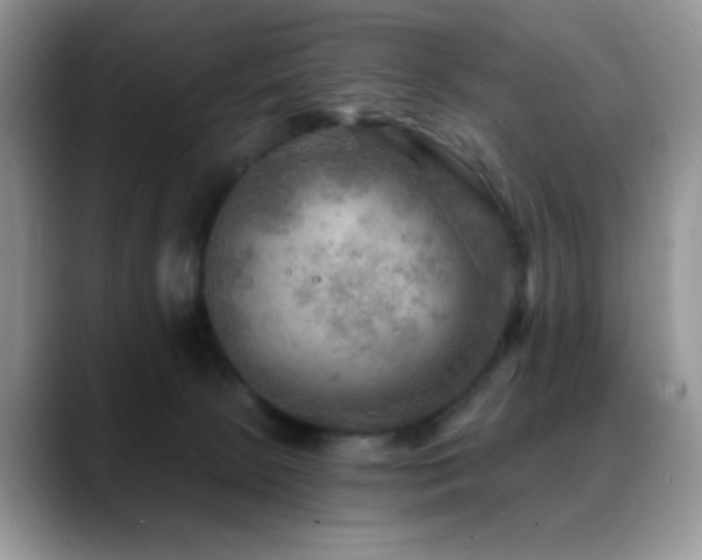 X0000088860081200706081200