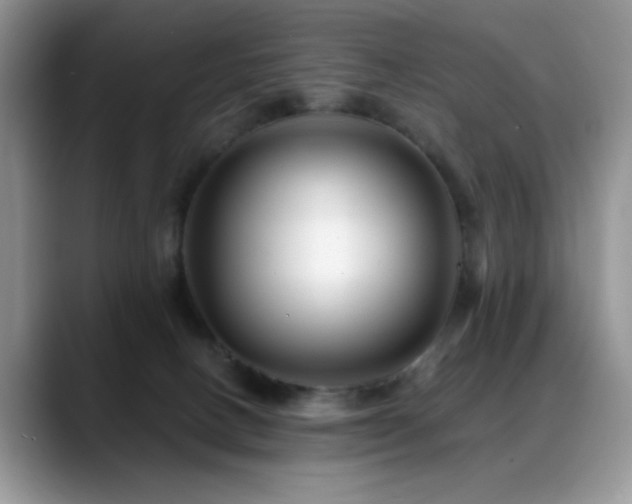 X0000088860082200706081200