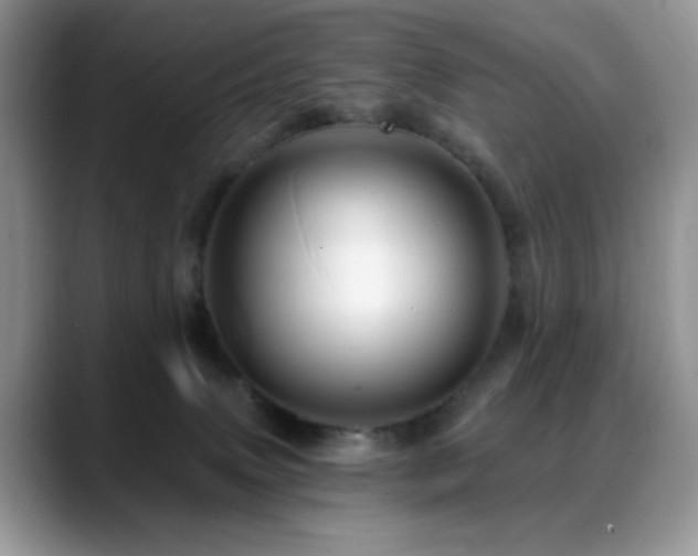 X0000088860083200706081200