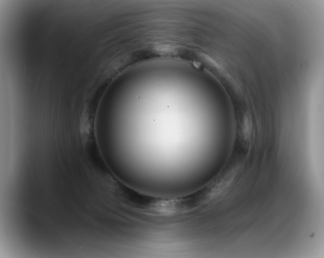 X0000088860084200706081200
