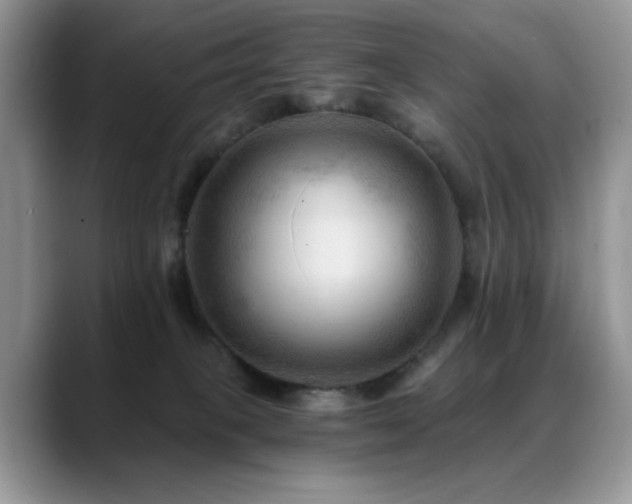 X0000088860085200706081200