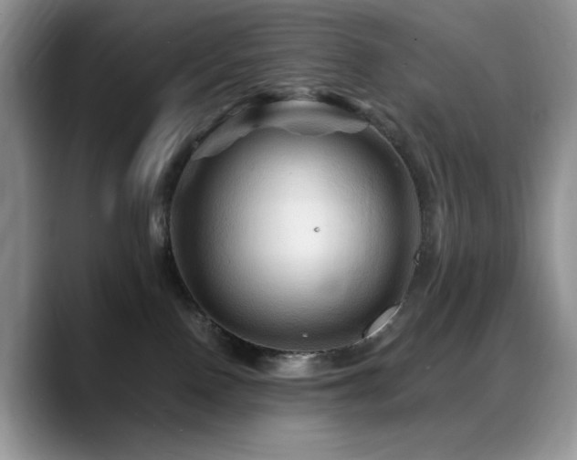 X0000088860090200706081200