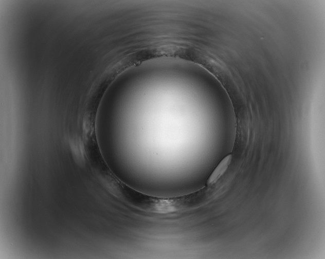 X0000088860091200706081200