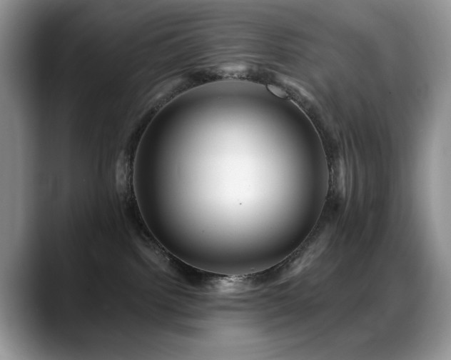 X0000088860092200706081200