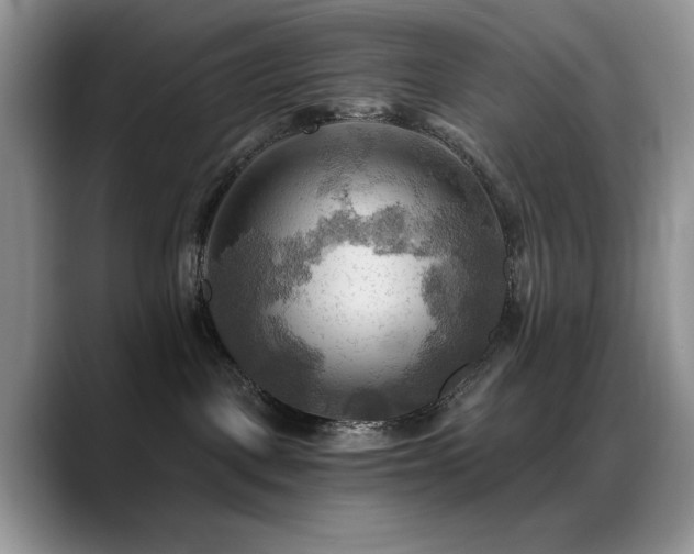 X0000088860093200706081200