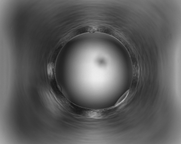 X0000088860094200706081200