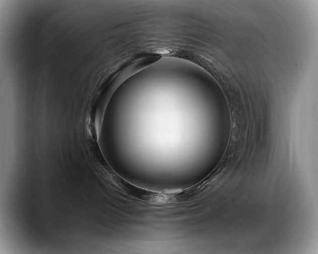 X0000088860096200706081200