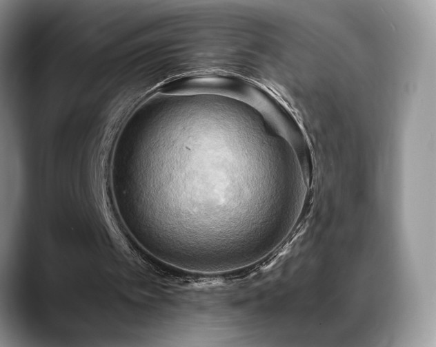X0000088860097200706081200