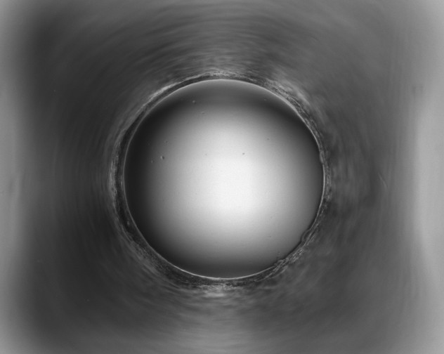 X0000088860098200706081200