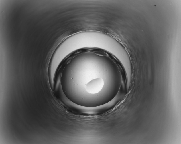 X0000088860099200706081200