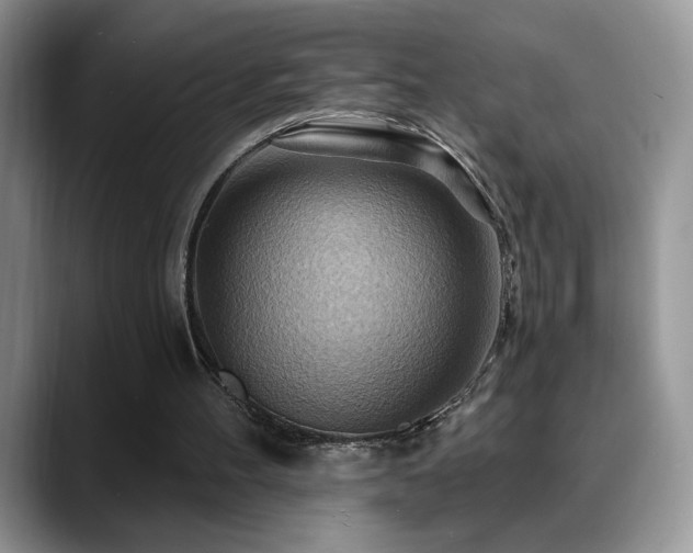 X0000088860100200706081200