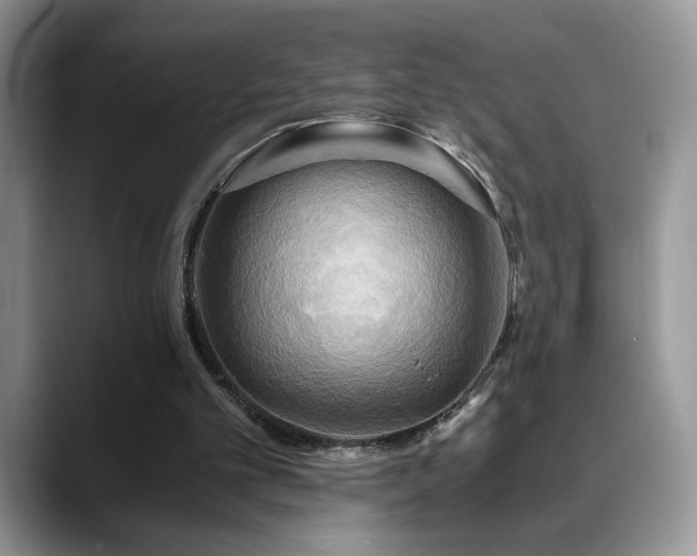 X0000088860101200706081200