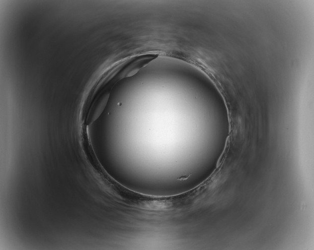 X0000088860102200706081200