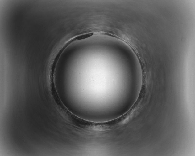 X0000088860103200706081200
