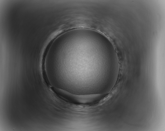 X0000088860104200706081200