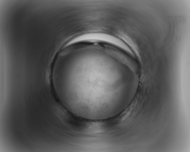 X0000088860107200706081200